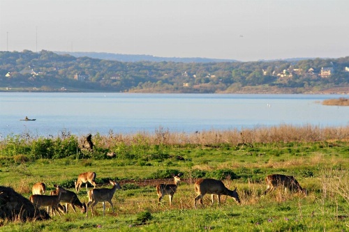 Hacienda Lake Lodge Home image 18