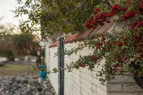 Hacienda Lake Lodge Home image 8